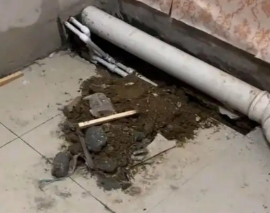 龙港卫生间漏水检测哪家好